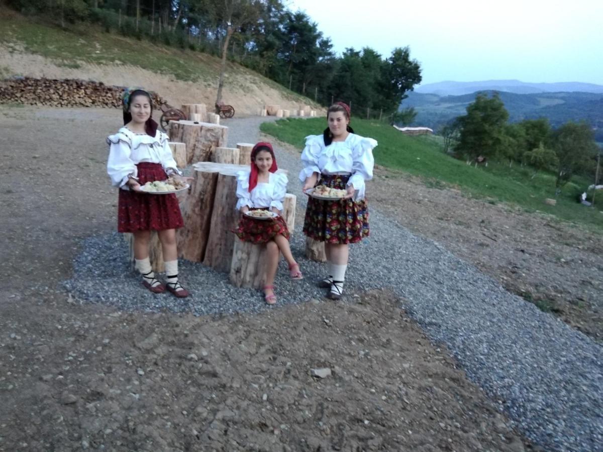 Pensiunea Valea Branzei Nanesti Екстериор снимка