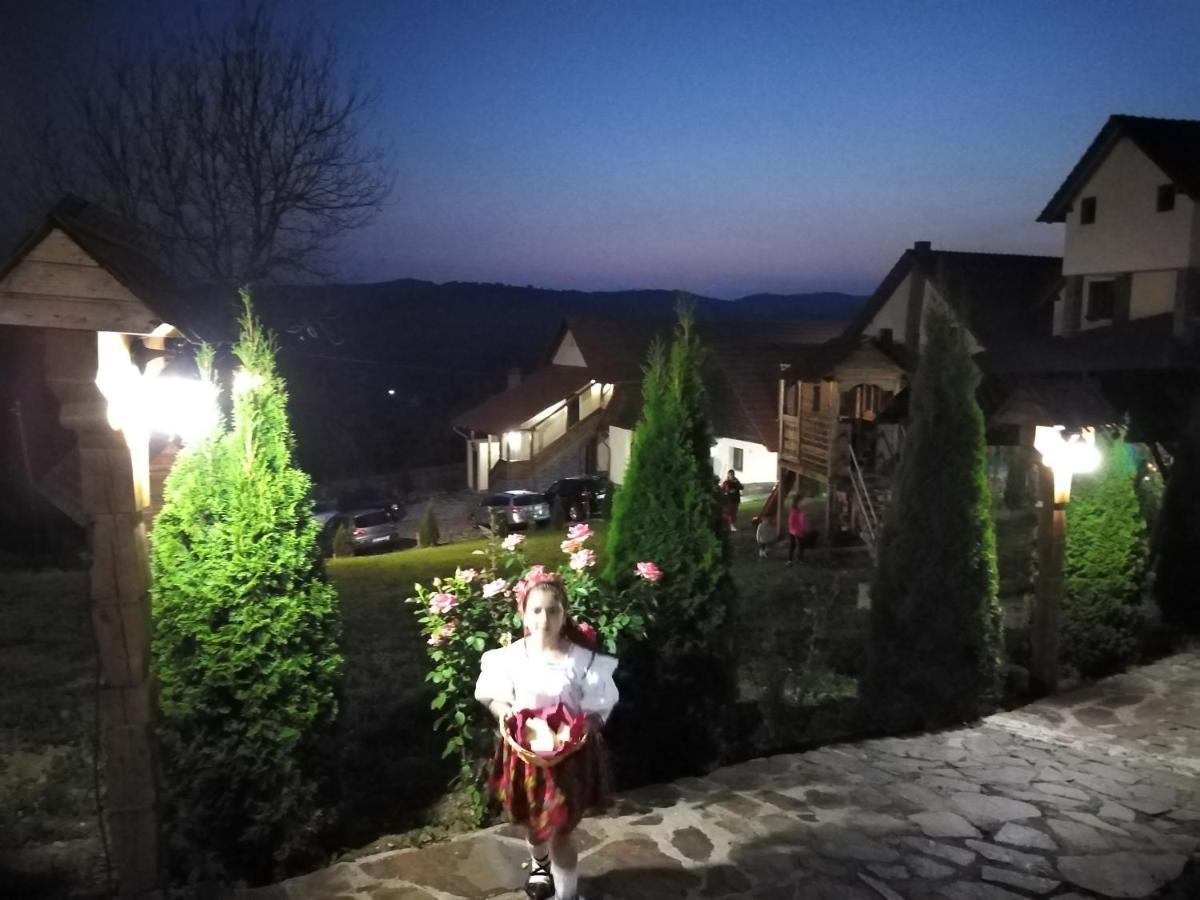 Pensiunea Valea Branzei Nanesti Екстериор снимка