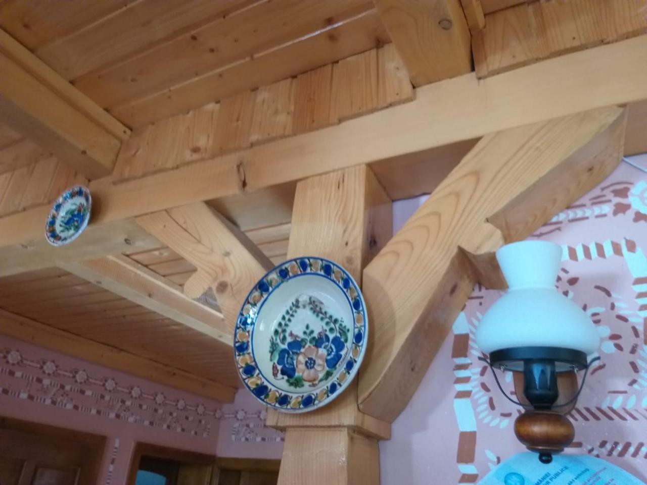 Pensiunea Valea Branzei Nanesti Екстериор снимка